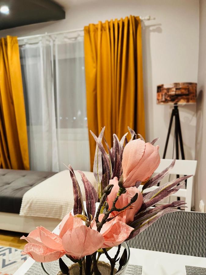 Confort View Apartment Iasi - 3 Rooms-Like Home Eksteriør bilde